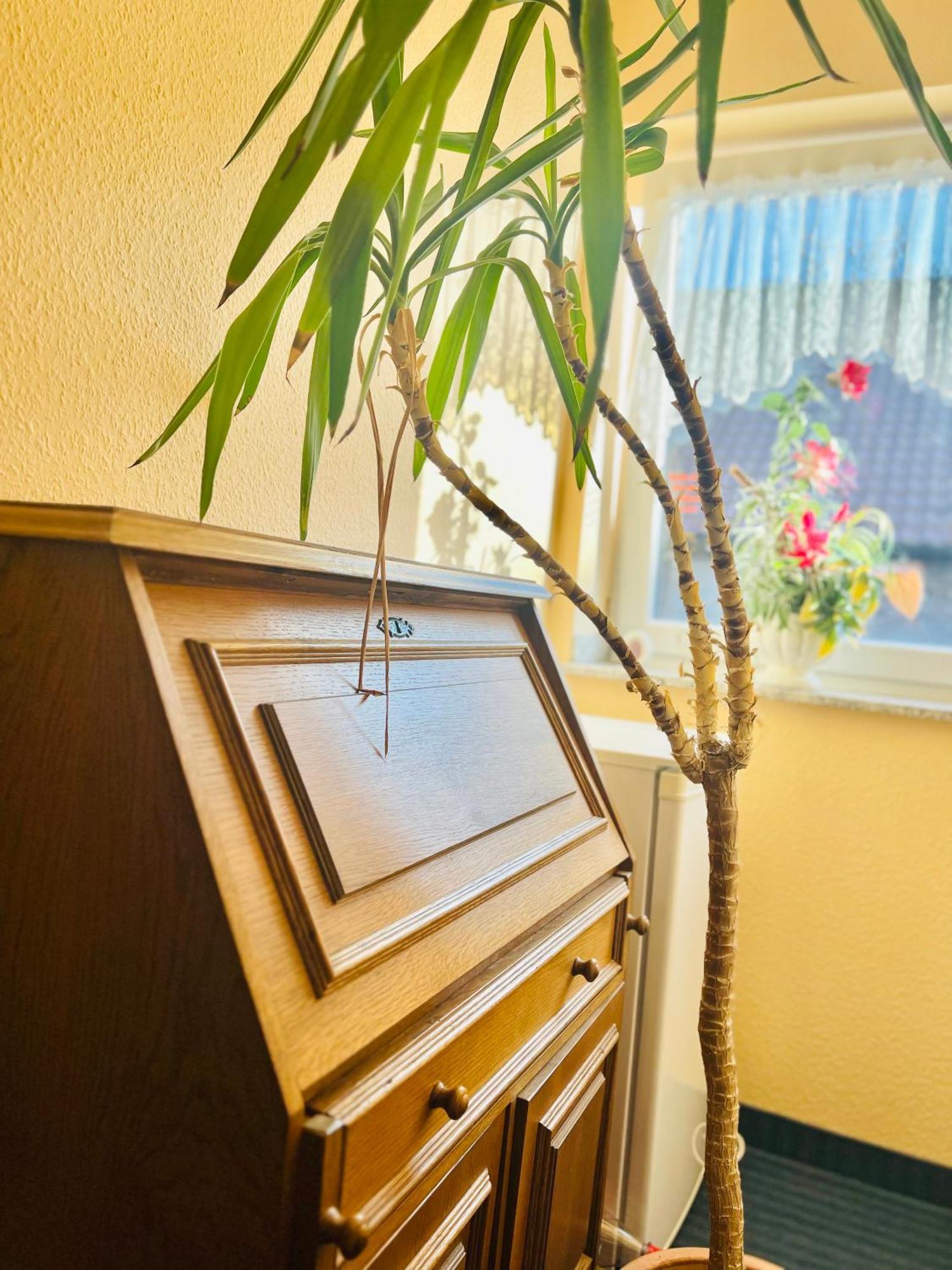 Tm Hotel Westfalen ลูเนน ภายนอก รูปภาพ